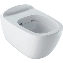 Geberit Citterio Alçak Tip Asma Klozet - 500.510.01.1 Hemen Al