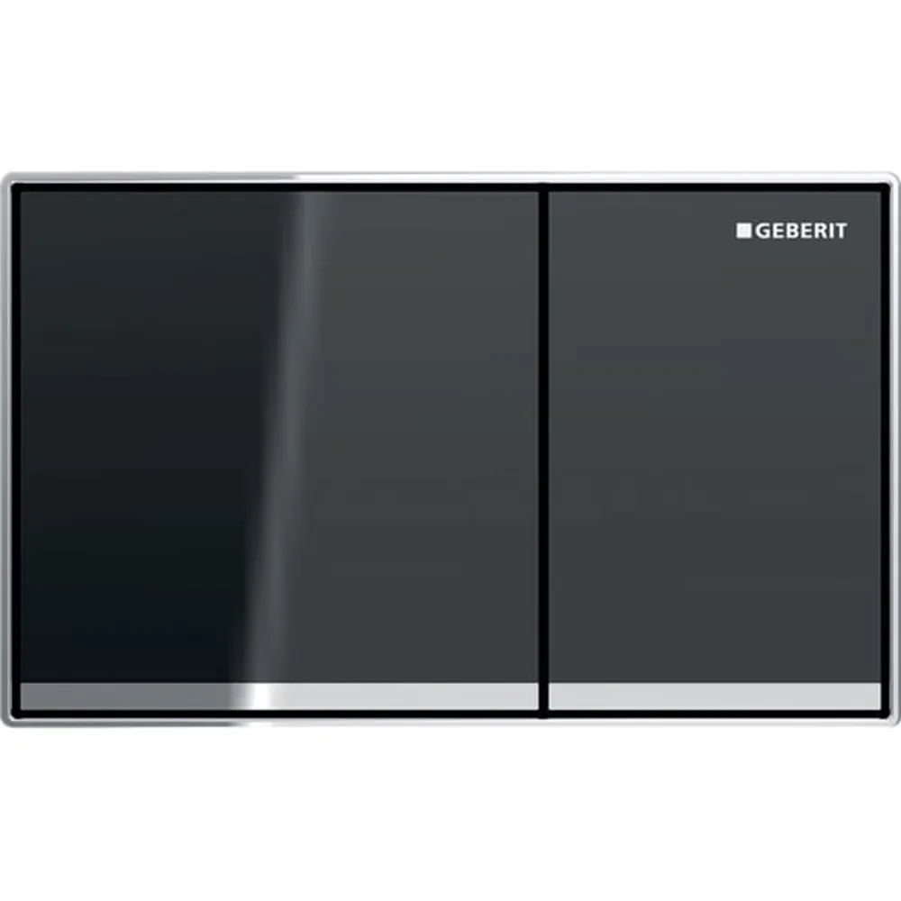 Geberit Kumanda Kapağı Omega60 - Çift Basmalı Antrasit Cam