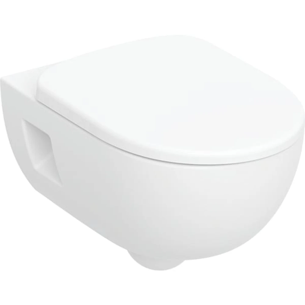 Geberit Selnova Premium Rimfree Asma Klozet Takımı 503.022.00.1 Hemen Al