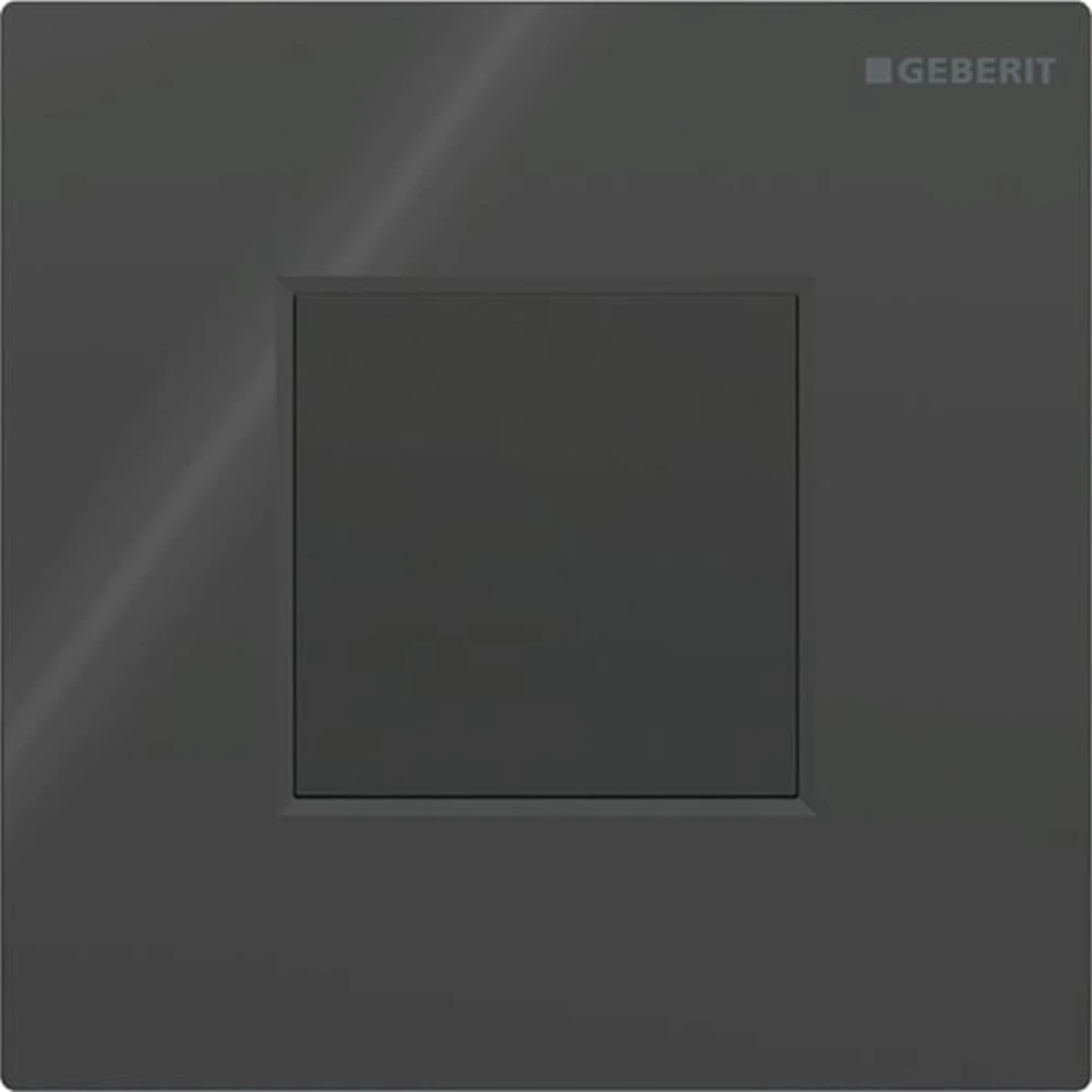 Geberit Tip 01 Siyah Pisuvar İçin Kumanda Kapağı - 116.094.DW.1 Hemen Al