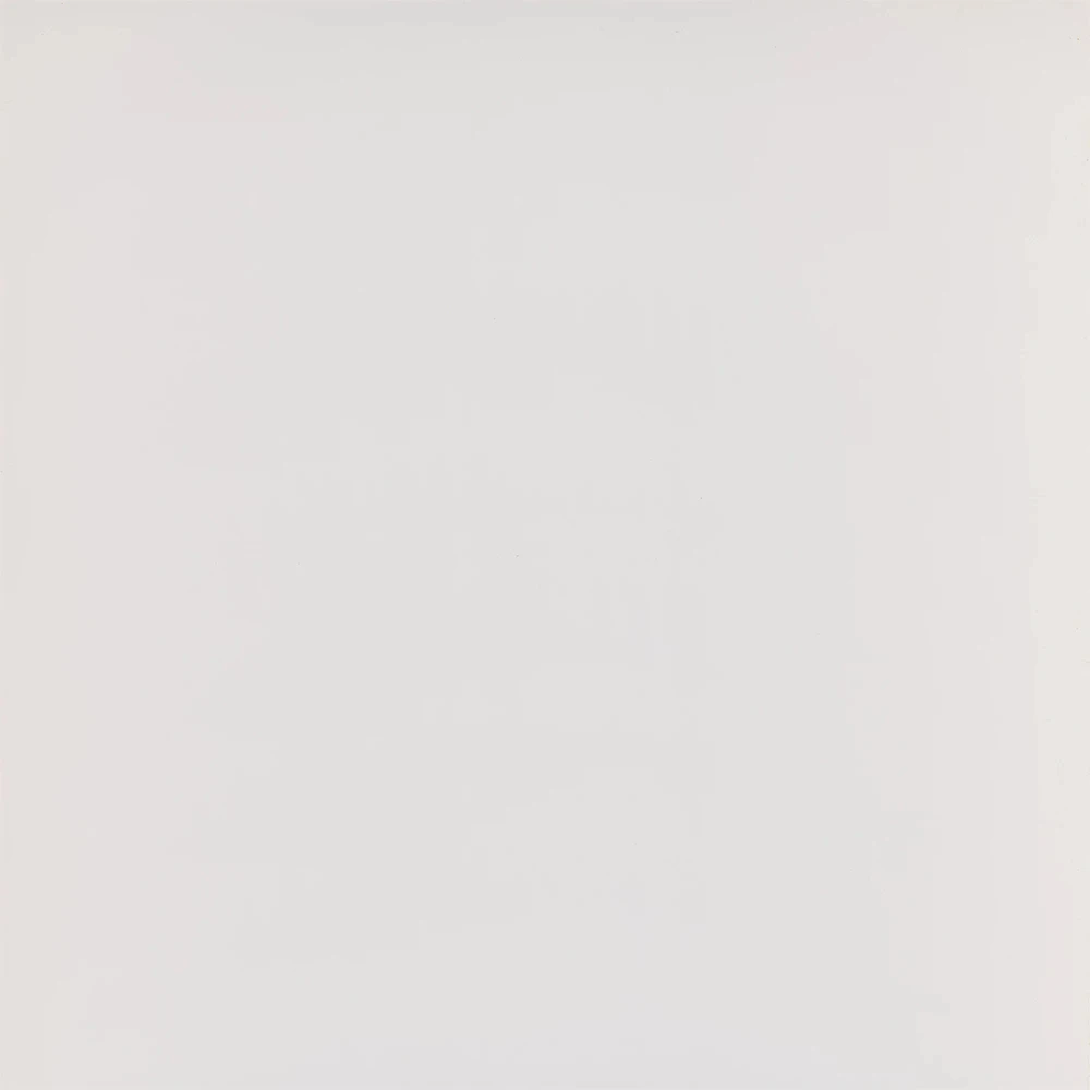 Kalebodur Gs-D8421R Code Kemik Mat Rektifiyeli 60x60 R Hemen Al