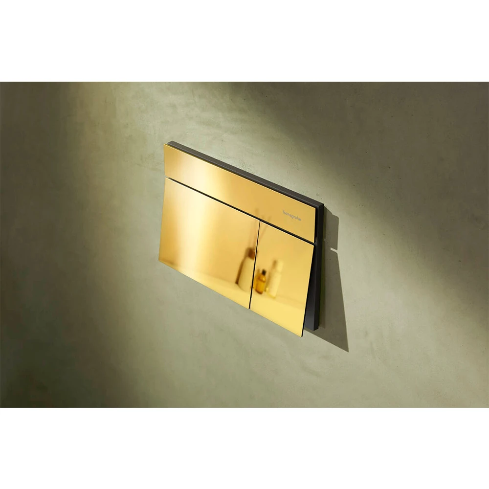 Hansgrohe iFrame Element E Altın Gömme Rezervuar Paneli - 66003990 2