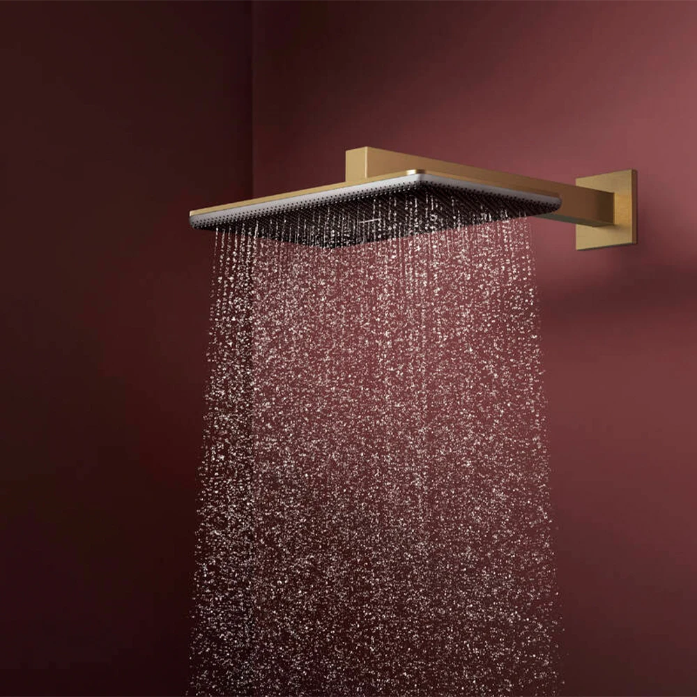 Hansgrohe Raindance Alive Q 210/340 2jet Mat Bronz Tepe Duşu - 24550140 2