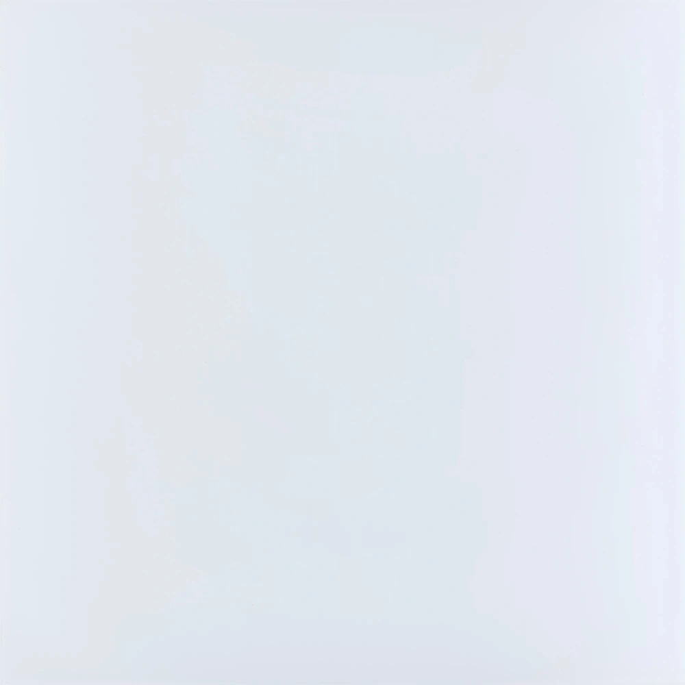 Kalebodur Gs-D8420R Code Beyaz Mat Rektifiyeli 60x60 R