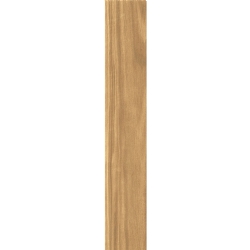 Edilcuoghi Noce İtaliano Biondo T 20x120