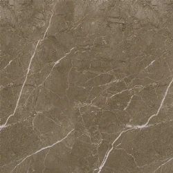 Çanakkale Seramik Gs-D6950 Alegra Kahve Yzg 45x45 Hemen Al