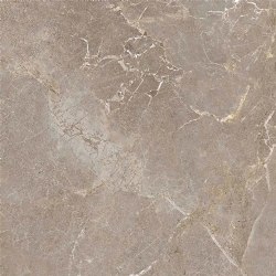 Çanakkale Seramik Gs-D8841 Salvia Taupe 60x60