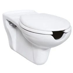 Creavit Bedensel Engelli Asma Klozet - BD320-00CB00E-0000 Hemen Al