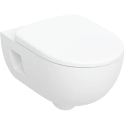 Geberit Selnova Premium Rimfree Asma Klozet Takımı 503.022.00.1 Hemen Al