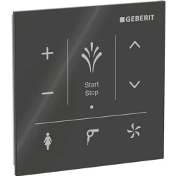 Geberit AquaClean İçin Siyah Cam Kumanda Paneli - 147.038.SJ.1 Hemen Al