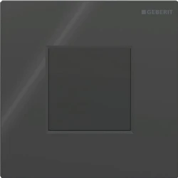 Geberit Tip 01 Siyah Pisuvar İçin Kumanda Kapağı - 116.093.DW.1 Hemen Al
