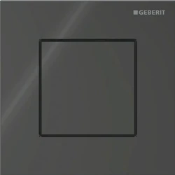 Geberit Tip 40 Siyah Cam Kumanda Kapağı - 116.217.SJ.1 Hemen Al