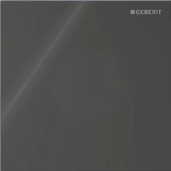 Geberit Tip 40 Siyah Cam Pisuvar İçin Kumanda Kapağı - 116.024.SJ.1 Hemen Al
