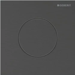 Geberit Tip 40 Siyah Krom Pisuvar İçin Kumanda Kapağı - 116.014.QD.1 Hemen Al