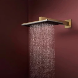 Hansgrohe Raindance Alive Q 210/340 2jet EcoSmart Mat Bronz Tepe Duşu - 24551140 Hemen Al