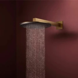 Hansgrohe Raindance Alive S 300 1jet Mat Bronz Tepe Duşu - 24520140 Hemen Al