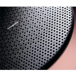 Hansgrohe Raindance Alive S 300 1jet Mat Bronz Tepe Duşu - 24520140 Hemen Al