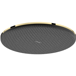 Hansgrohe Raindance Alive S 300 1jet EcoSmart Parlak Altın Tepe Duşu - 24521990