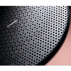 Hansgrohe Raindance Alive S 300 1jet Satin Beyaz Tepe Duşu - 24520700 Hemen Al