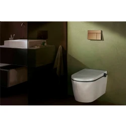 Hasngrohe LavaPura Element S Beyaz Kanalsız Akıllı Asma Klozet Takımı - 63021450 Hemen Al