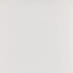 Kalebodur Gs-D8421R Code Kemik Mat Rektifiyeli T 60x60 R