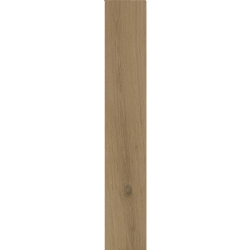 Kalebodur Gs-N9025 Uddo Gold T 20x120