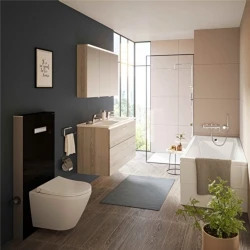Vitra Vitrus 3/6 L Asma Klozetler İçin Siyah Duvar Önü Cam Rezervuar 770-5771-01 Hemen Al