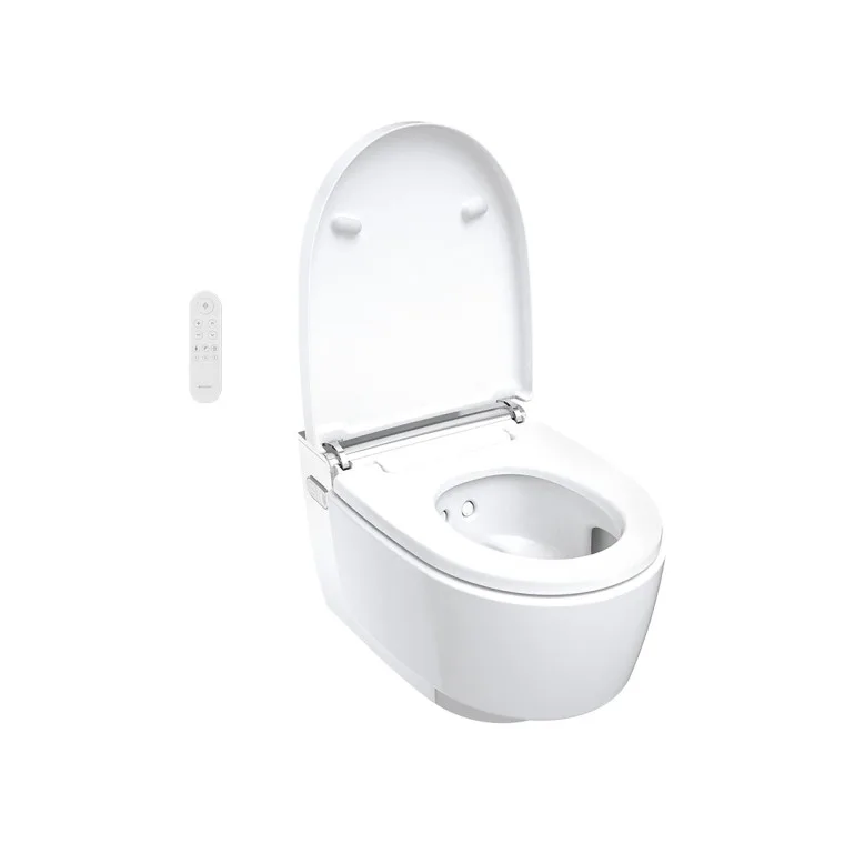 Geberit AquaClean Mera Comfort Parlak Krom Asma Klozet 5