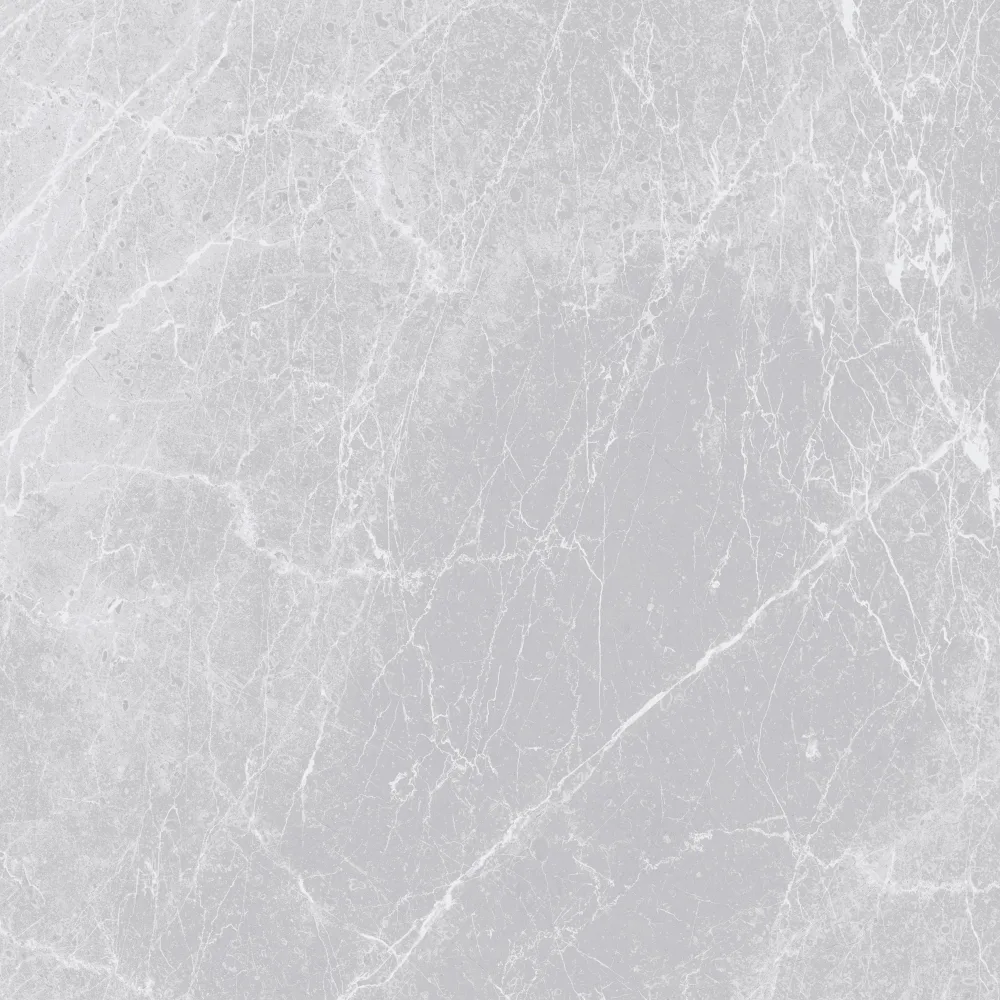 Çanakkale Seramik GS-D8339R-T Lucida Gri Mat 59x59