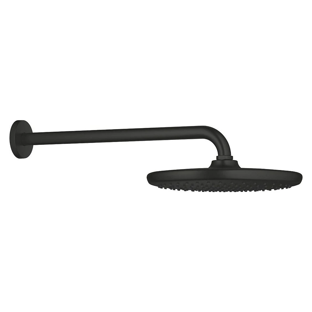 Grohe Tempesta 250 Siyah Tepe Duşu
