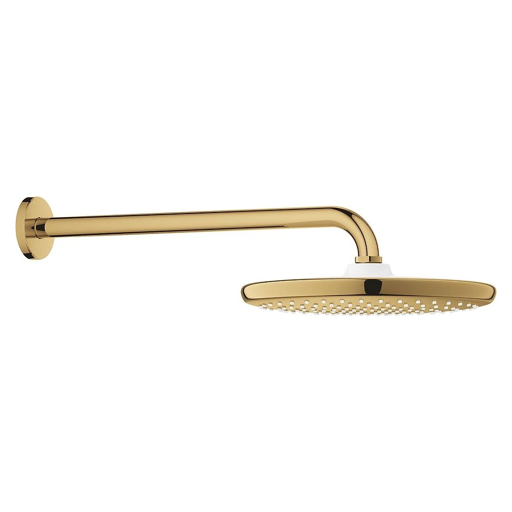 Grohe Tempesta 250 Altın Tepe Duşu