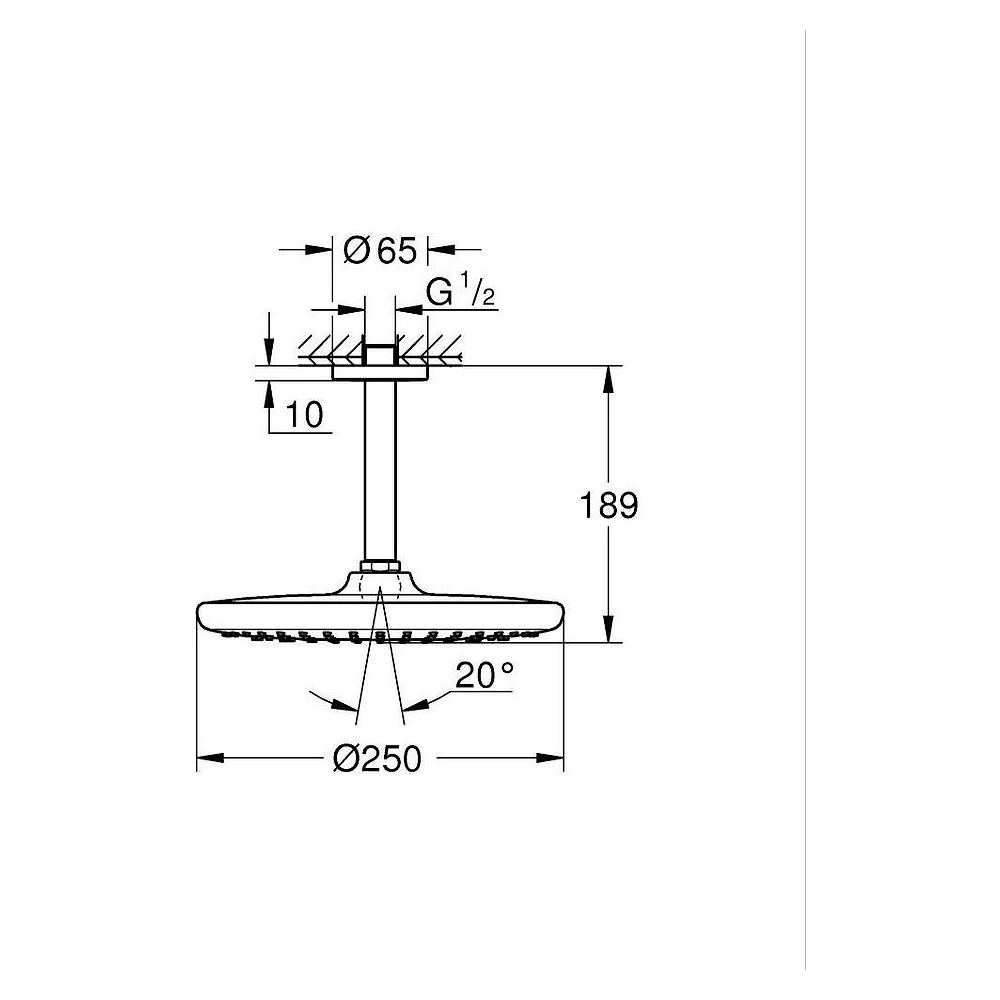 Grohe Tempesta 250 Siyah Tepe Duşu 2